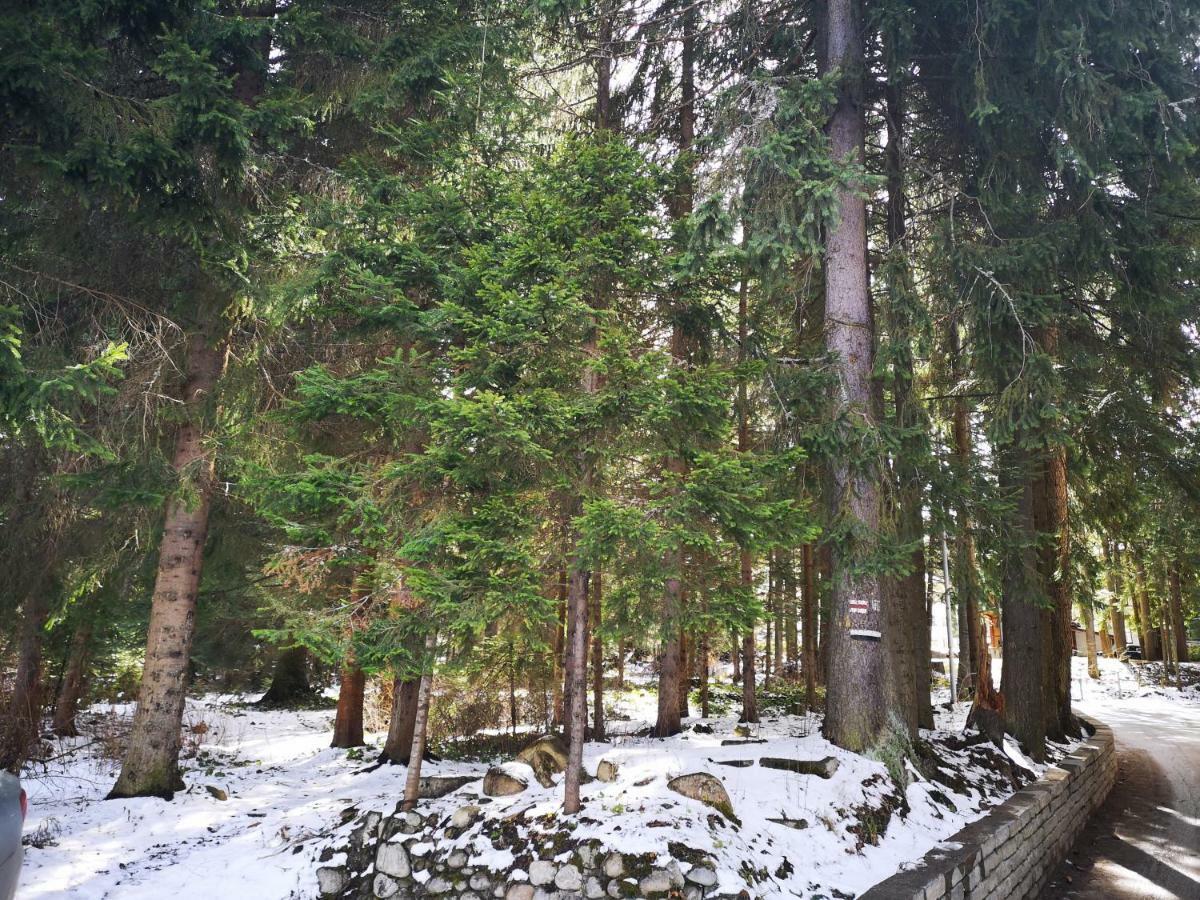 Excellent studios for your vacation-Hotel Villa Park- Borovets Eksteriør billede