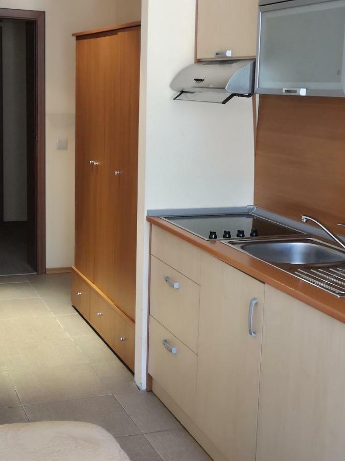 Excellent studios for your vacation-Hotel Villa Park- Borovets Eksteriør billede